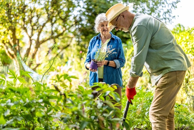 A couple gardening together.