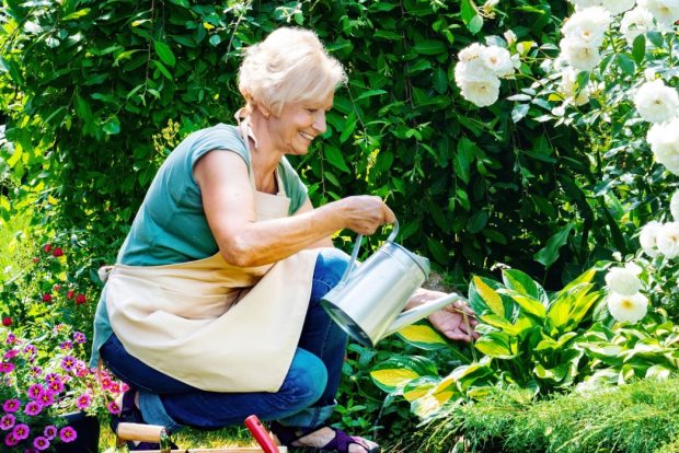 A woman tending to a garden.